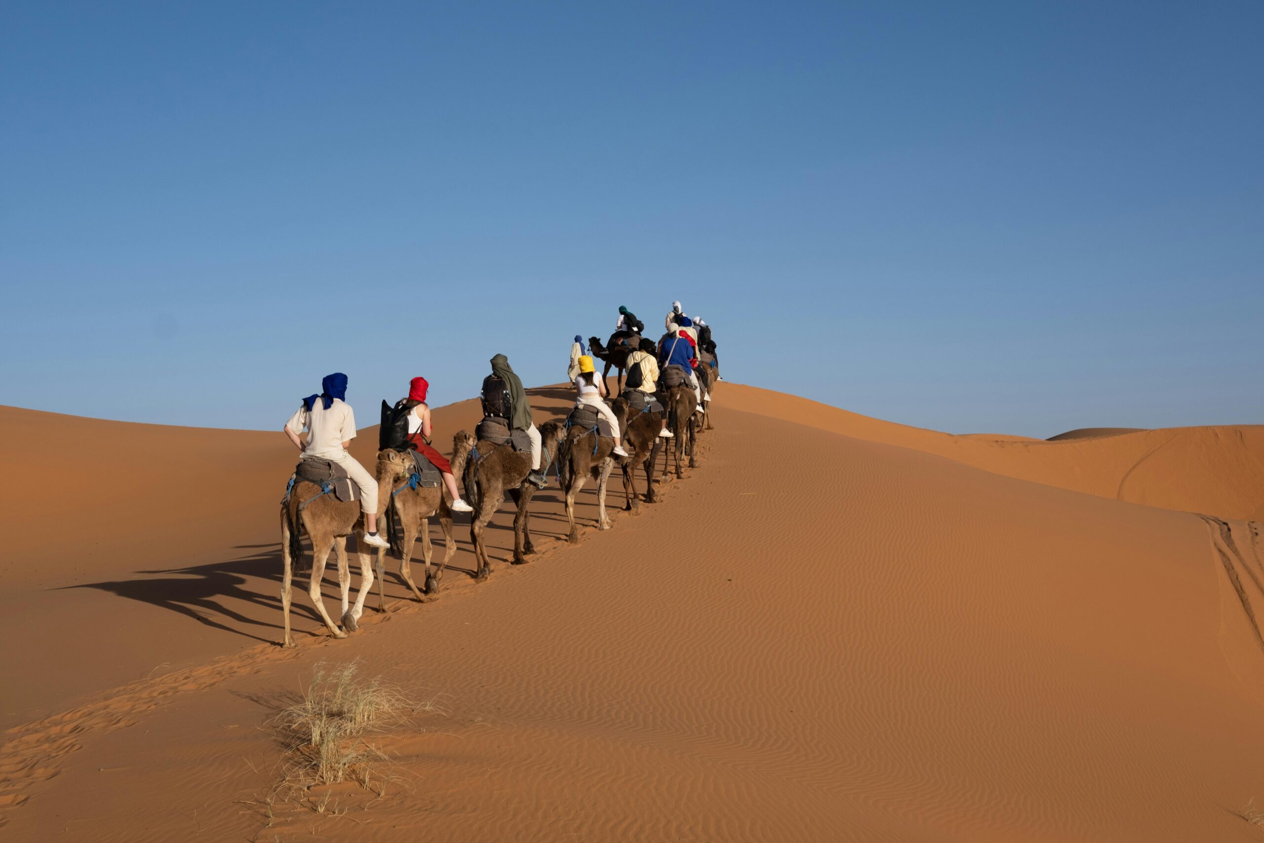 Exciting Camel Ride In The Desert