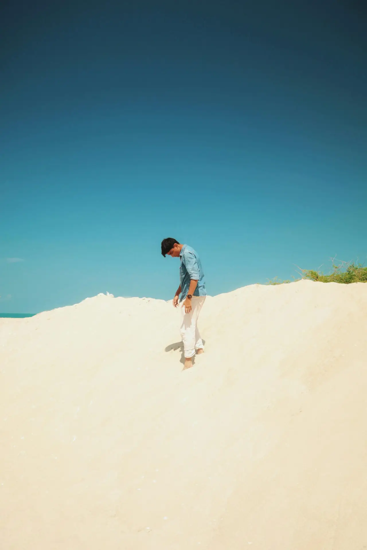 Sandboarding or Ski Boarding in the Dunes